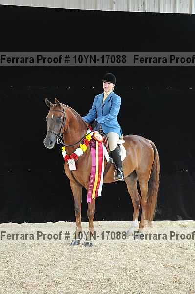 Proof 10yn-17088