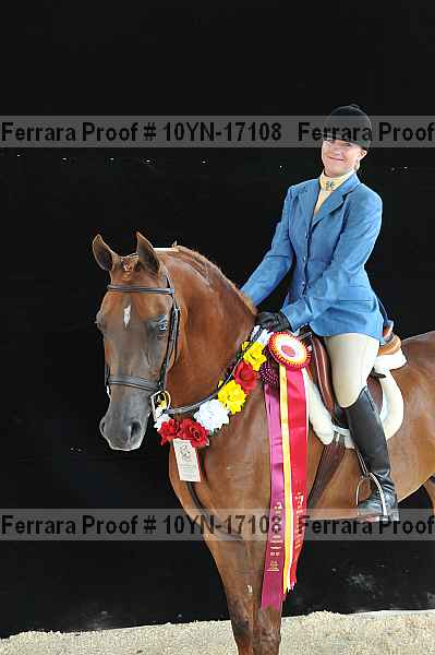 Proof 10yn-17108