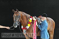 10yn-17112 proof
