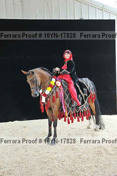 Proof 10yn-17828