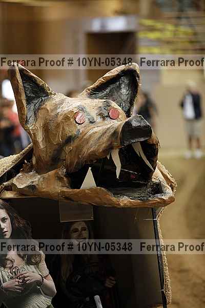 Proof 10yn-05348