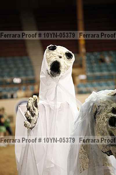 Proof 10yn-05379