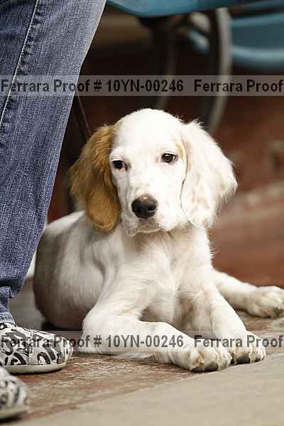 Proof 10yn-00246