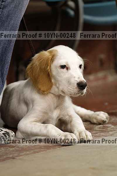 Proof 10yn-00248