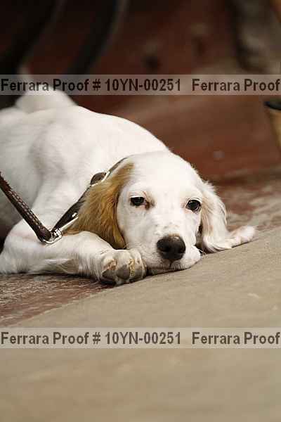 Proof 10yn-00251