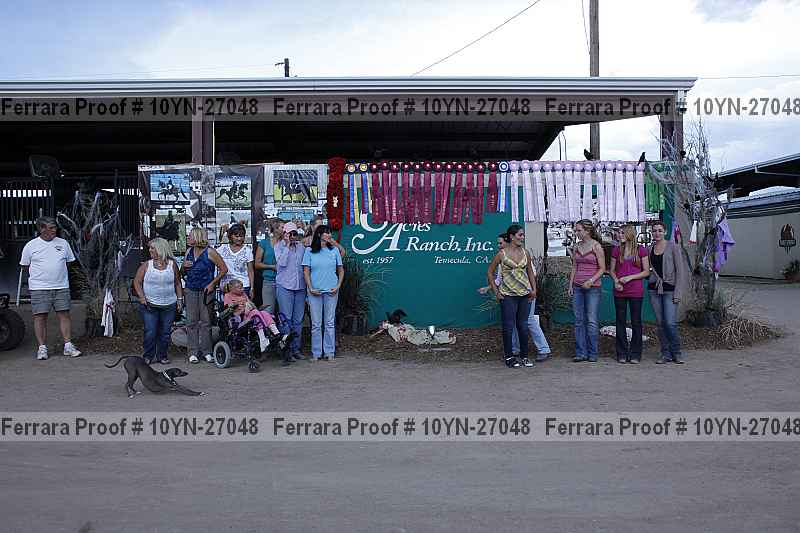 Proof 10yn-27048