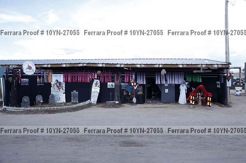Proof 10yn-27055