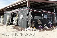 10yn-27073 proof