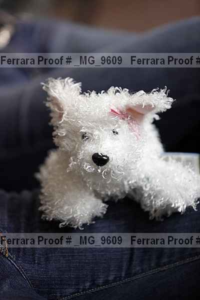 Proof _mg_9609