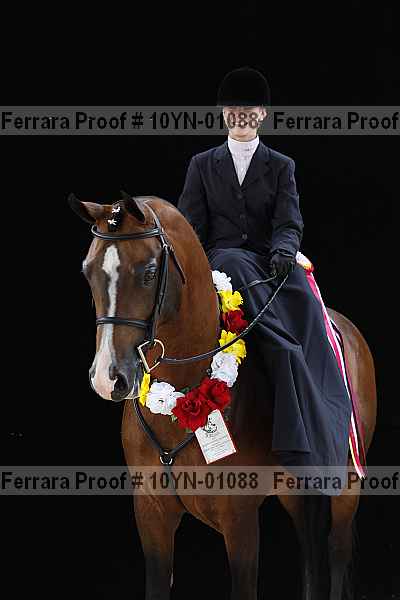 Proof 10yn-01088