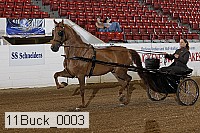 11buck_0003 proof