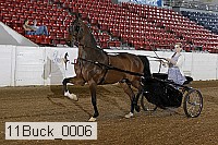 11buck_0006 proof