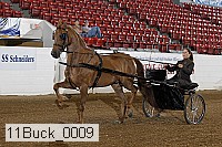 11buck_0009 proof