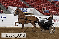 11buck_0013 proof