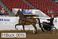 11buck_0015 proof