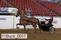 11buck_0017 proof