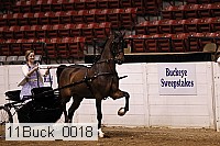11buck_0018 proof