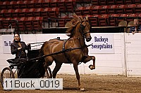 11buck_0019 proof