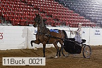 11buck_0021 proof