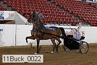 11buck_0022 proof