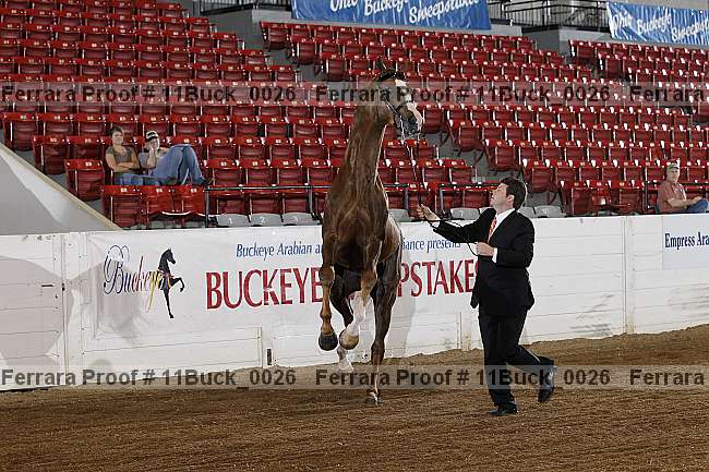 Proof 11buck_0026