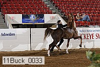 11buck_0033 proof