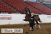 11buck_0040 proof