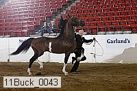 11buck_0043 proof