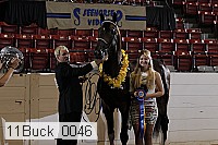 11buck_0046 proof