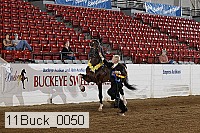 11buck_0050 proof