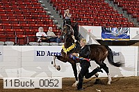 11buck_0052 proof