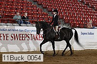 11buck_0054 proof