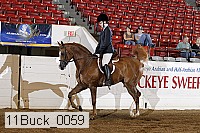 11buck_0059 proof