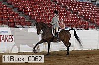 11buck_0062 proof