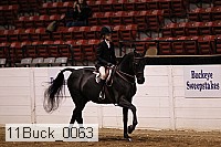 11buck_0063 proof
