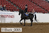 11buck_0065 proof