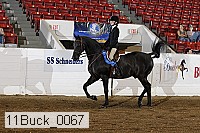 11buck_0067 proof