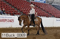 11buck_0069 proof