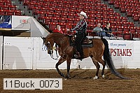 11buck_0073 proof