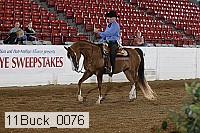 11buck_0076 proof
