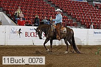 11buck_0078 proof