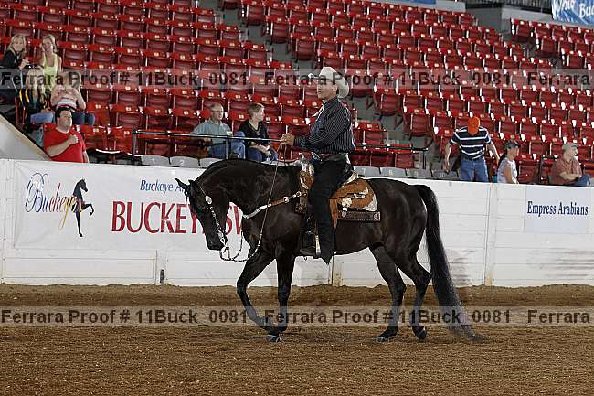 Proof 11buck_0081