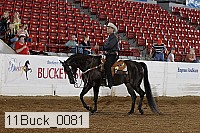 11buck_0081 proof