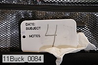 11buck_0084 proof