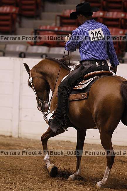 Proof 11buck_0085