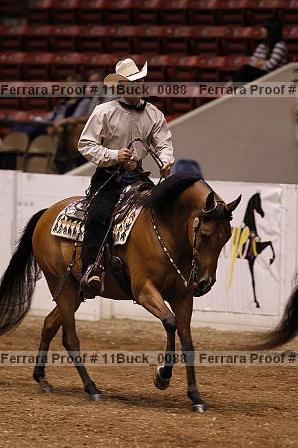 Proof 11buck_0088