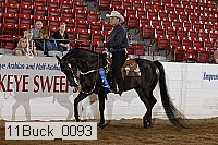 11buck_0093 proof