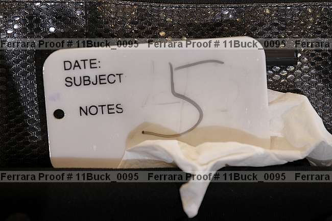 Proof 11buck_0095