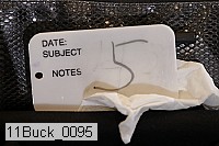 11buck_0095 proof