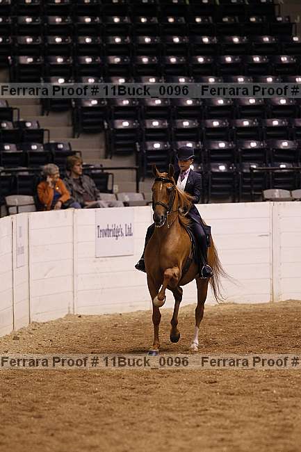 Proof 11buck_0096